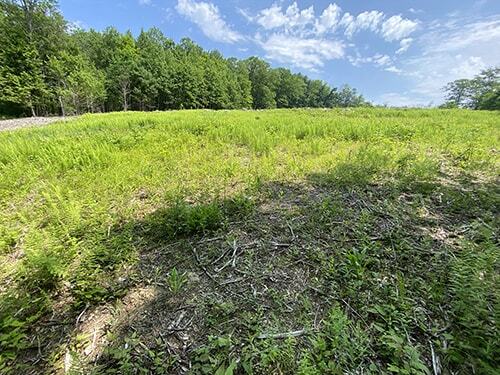 Land in Lenox, MA after clearing and mulching Land in Lenox, MA after clearing and mulching