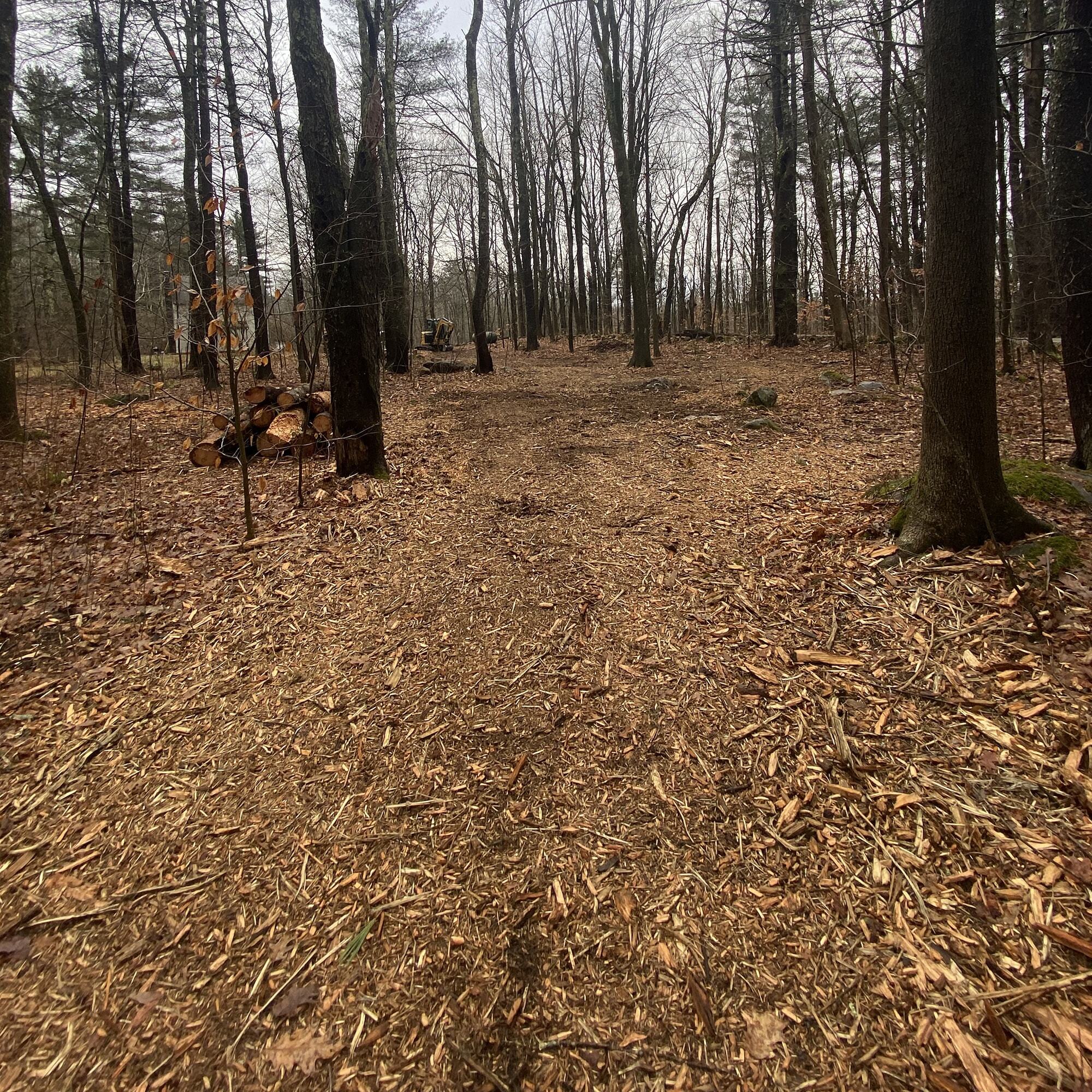 service--forest-mulching