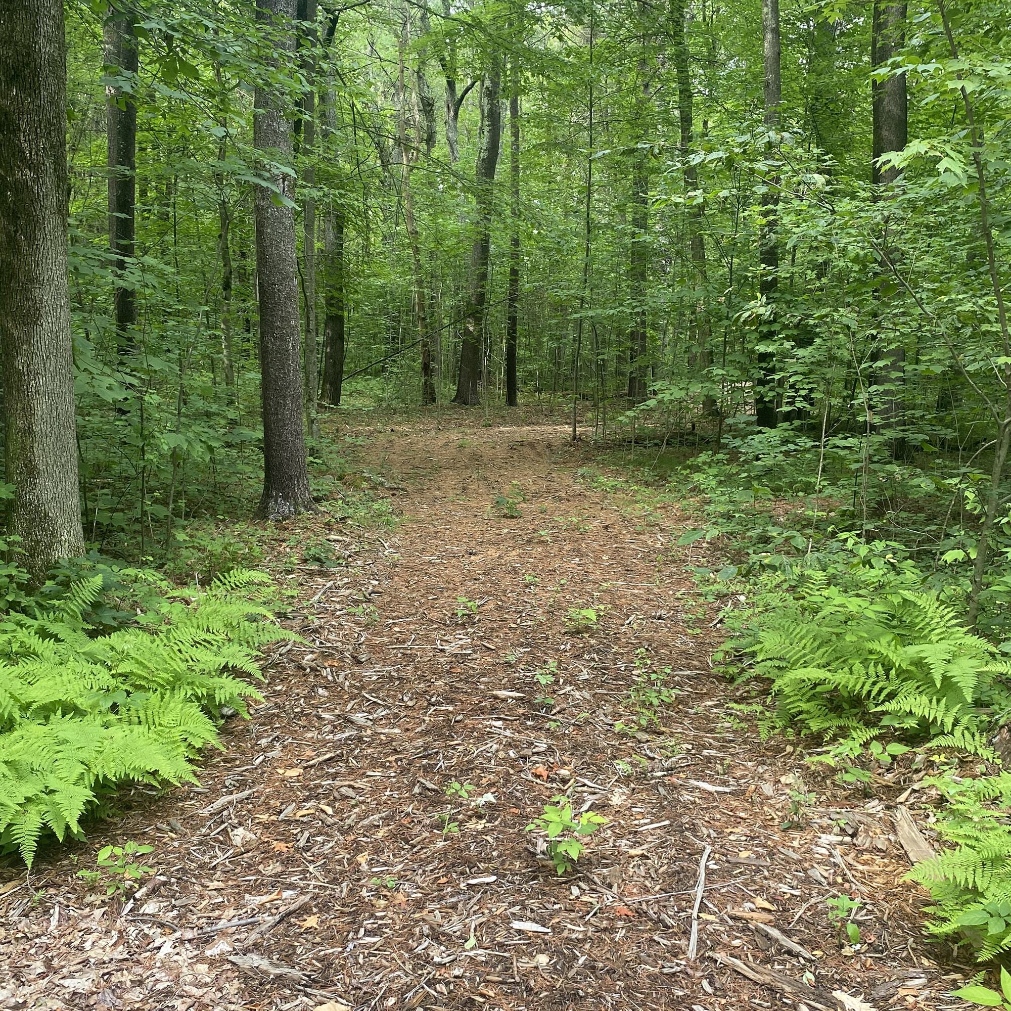 service--trail-development