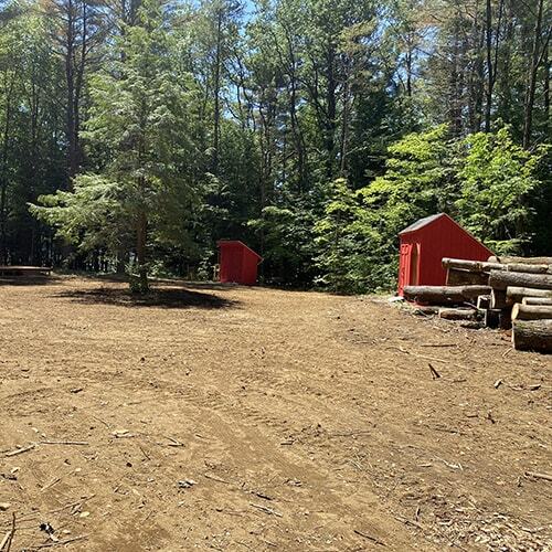 Freshly cleared forest in New Marlborough, MA